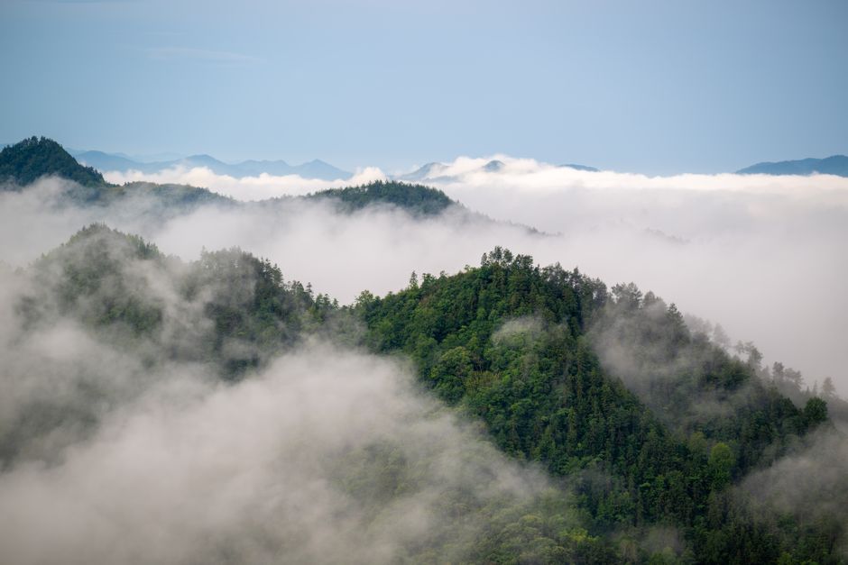Mist mountain forest landscape