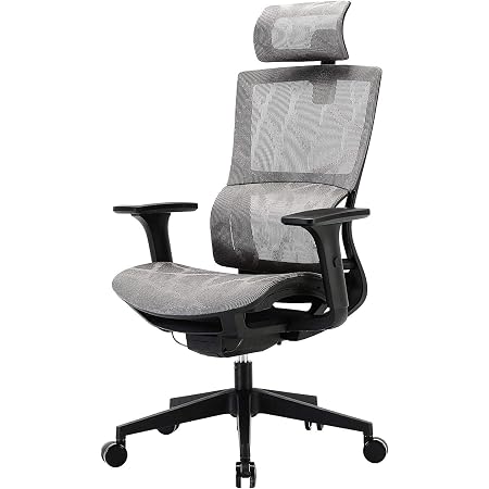 Sihoo Ergonomic chair mesh