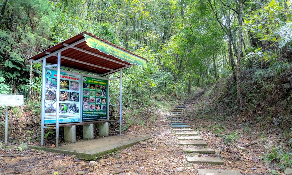 Family hiking Khao Yai national park trail