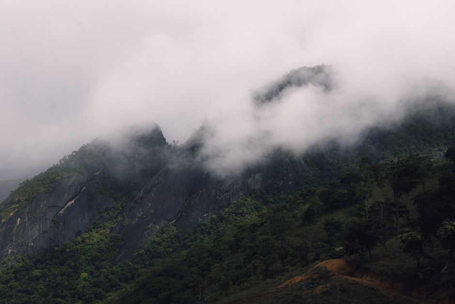 Misty mountain view homestay